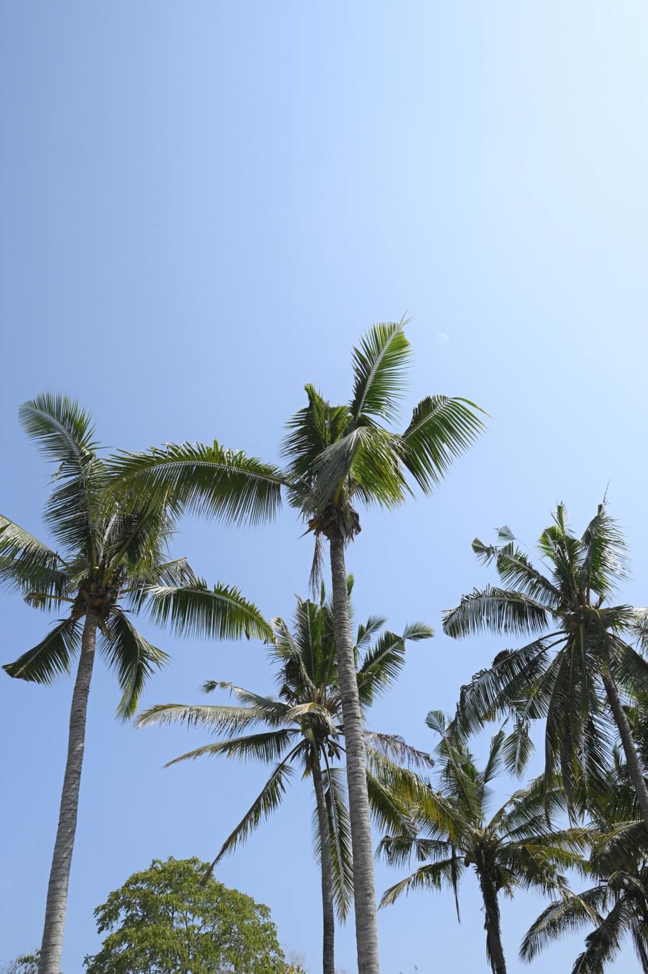 Bed and Breakfast Sanava Balian Exterior foto